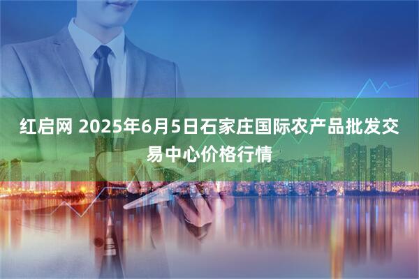 红启网 2025年6月5日石家庄国际农产品批发交易中心价格行情