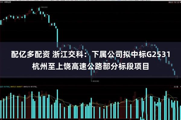 配亿多配资 浙江交科：下属公司拟中标G2531杭州至上饶高速公路部分标段项目