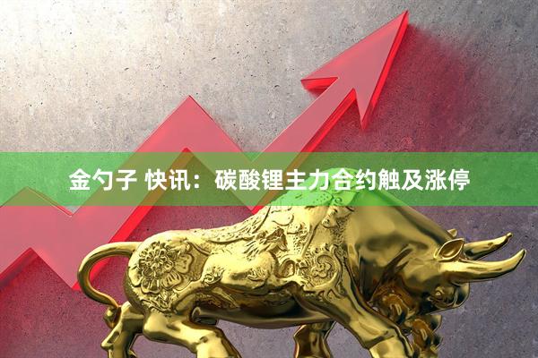 金勺子 快讯：碳酸锂主力合约触及涨停