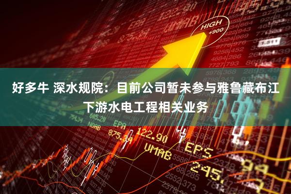 好多牛 深水规院：目前公司暂未参与雅鲁藏布江下游水电工程相关业务