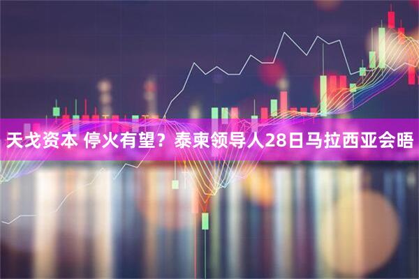 天戈资本 停火有望？泰柬领导人28日马拉西亚会晤