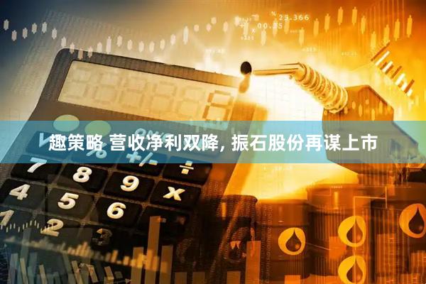 趣策略 营收净利双降, 振石股份再谋上市
