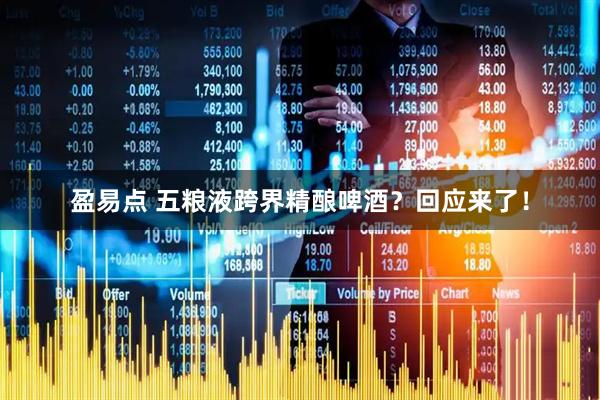 盈易点 五粮液跨界精酿啤酒？回应来了！