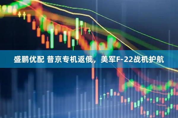 盛鹏优配 普京专机返俄，美军F-22战机护航